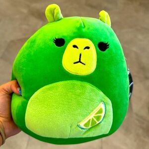 Madchen the lime capybara